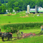 Top Amish Museums to Visit in the United States
