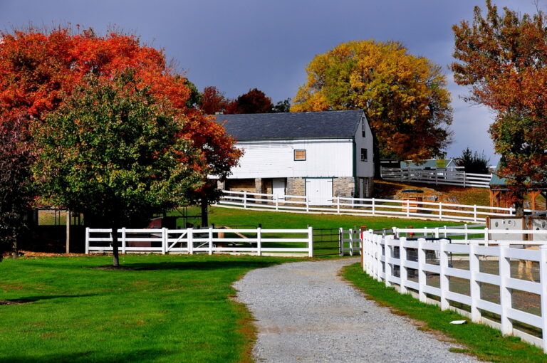 The Evolution of Amish Settlements Over Time
