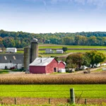 How Amish Settlers Shaped Rural American History
