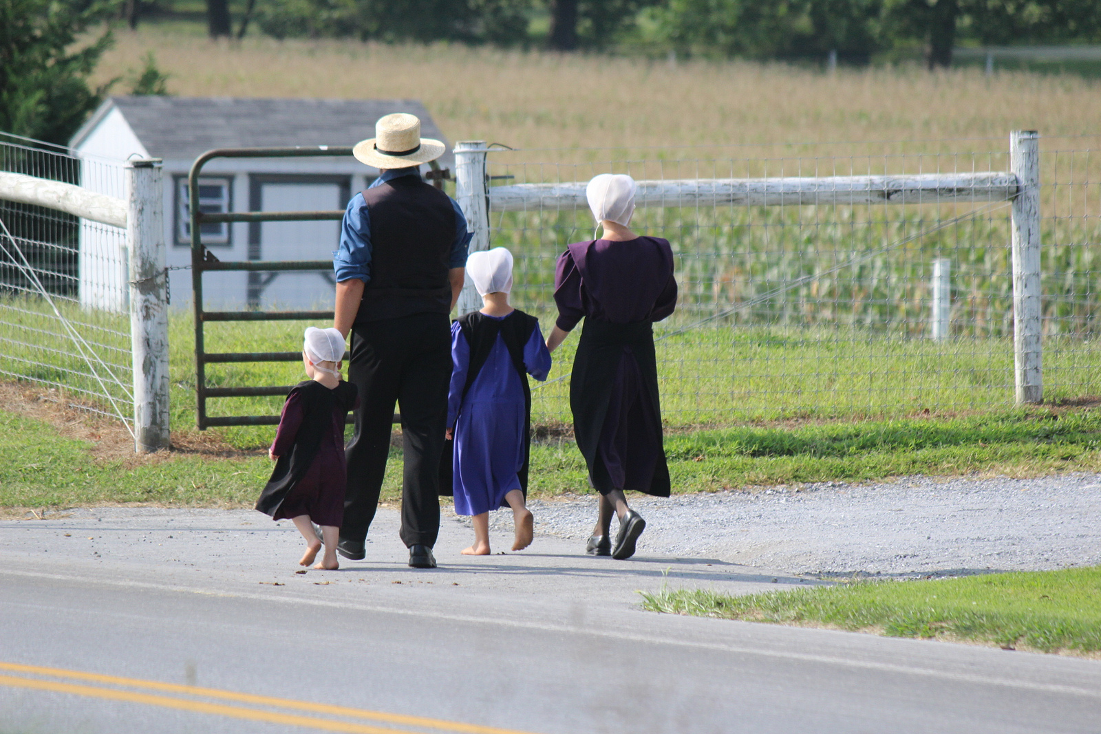 Tracing the Early Roots of the Amish Movement