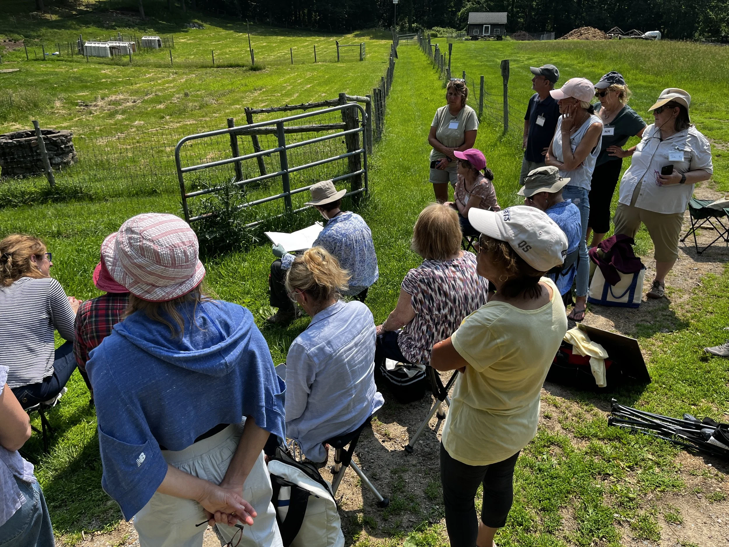 Experience Traditional Amish Life on Scenic Country Tours