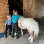 Experience Traditional Amish Life on Scenic Country Tours