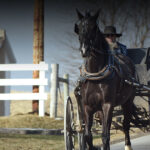 Tour Reviews of Top Amish Museums
