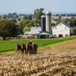 How Amish Beliefs Influence Their Simple Lifestyle