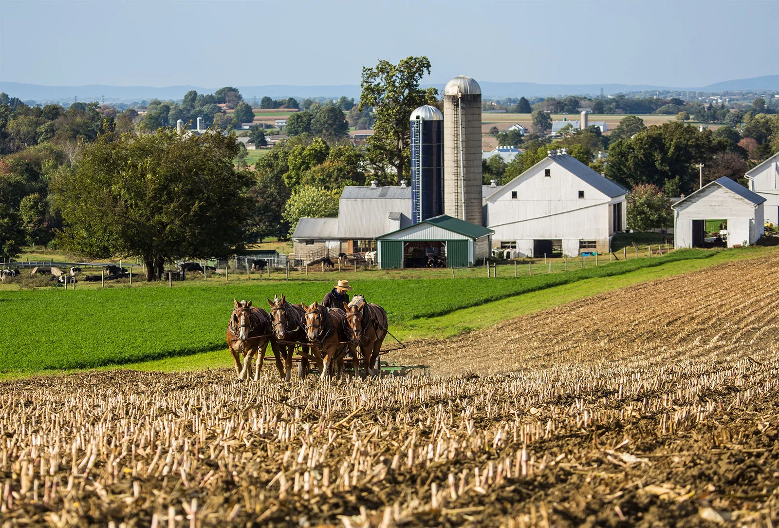 The Great Amish Migration Explained