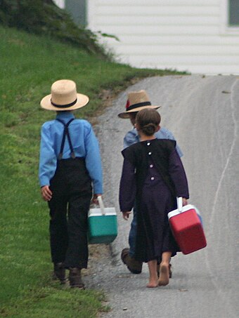 The Influence of Anabaptist Roots on Amish Beliefs