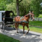 Best Amish Country Tours