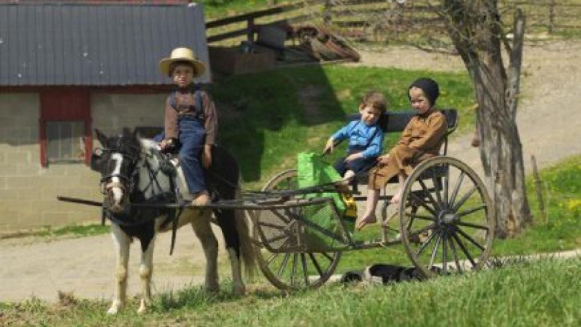 Best Amish Faith Traditions
