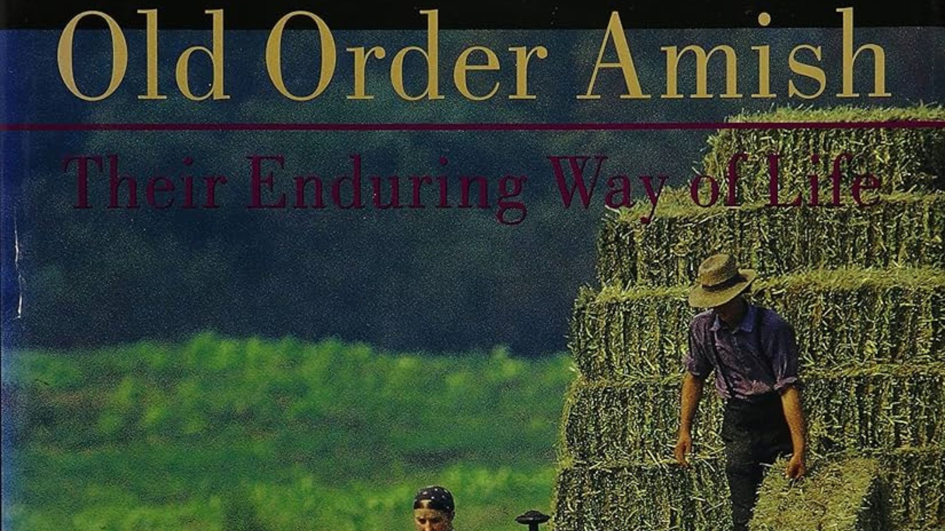 Best Books on Amish History