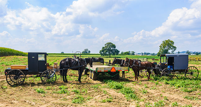 Best Facts About Amish History
