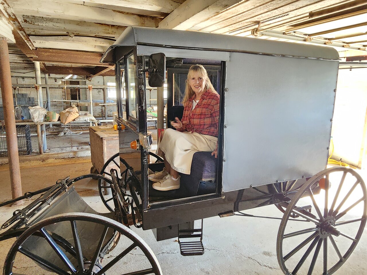 Best Family-Friendly Amish Tours