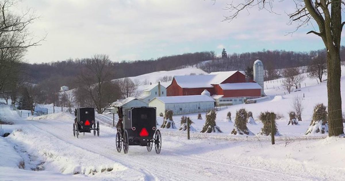 Tour Reviews of Top Amish Museums