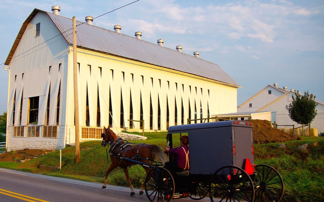 Day Trips Through Amish Farmlands and Handcrafted Markets