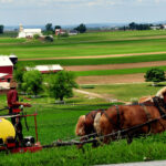 Early Amish Communities in Pennsylvania and Ohio