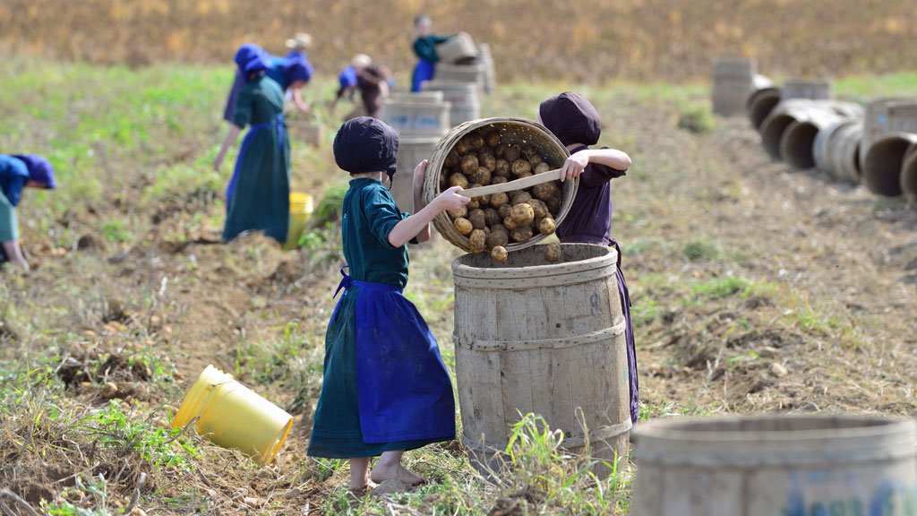 How Amish Communities Evolved