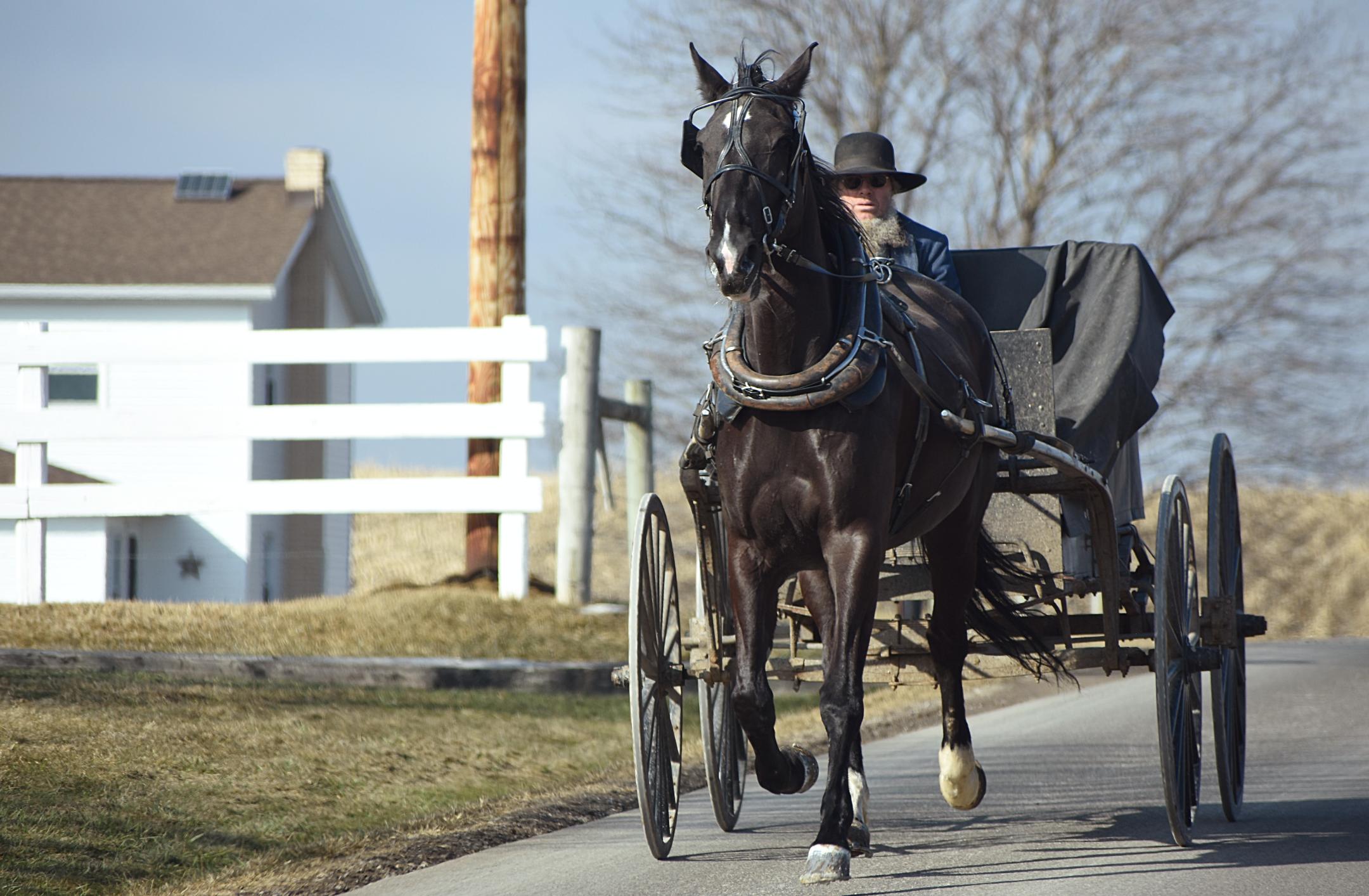 How to Book Amish Country Tours