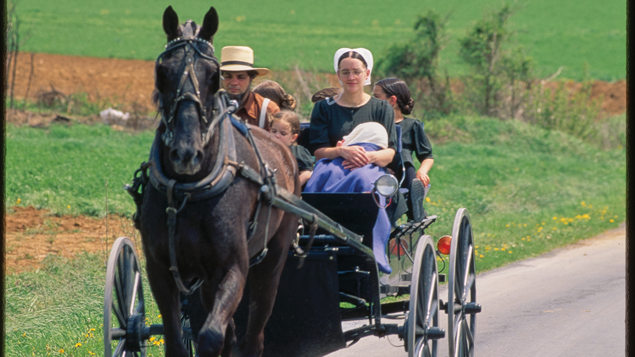How to Explore Amish Origins