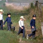 How to Study Amish History