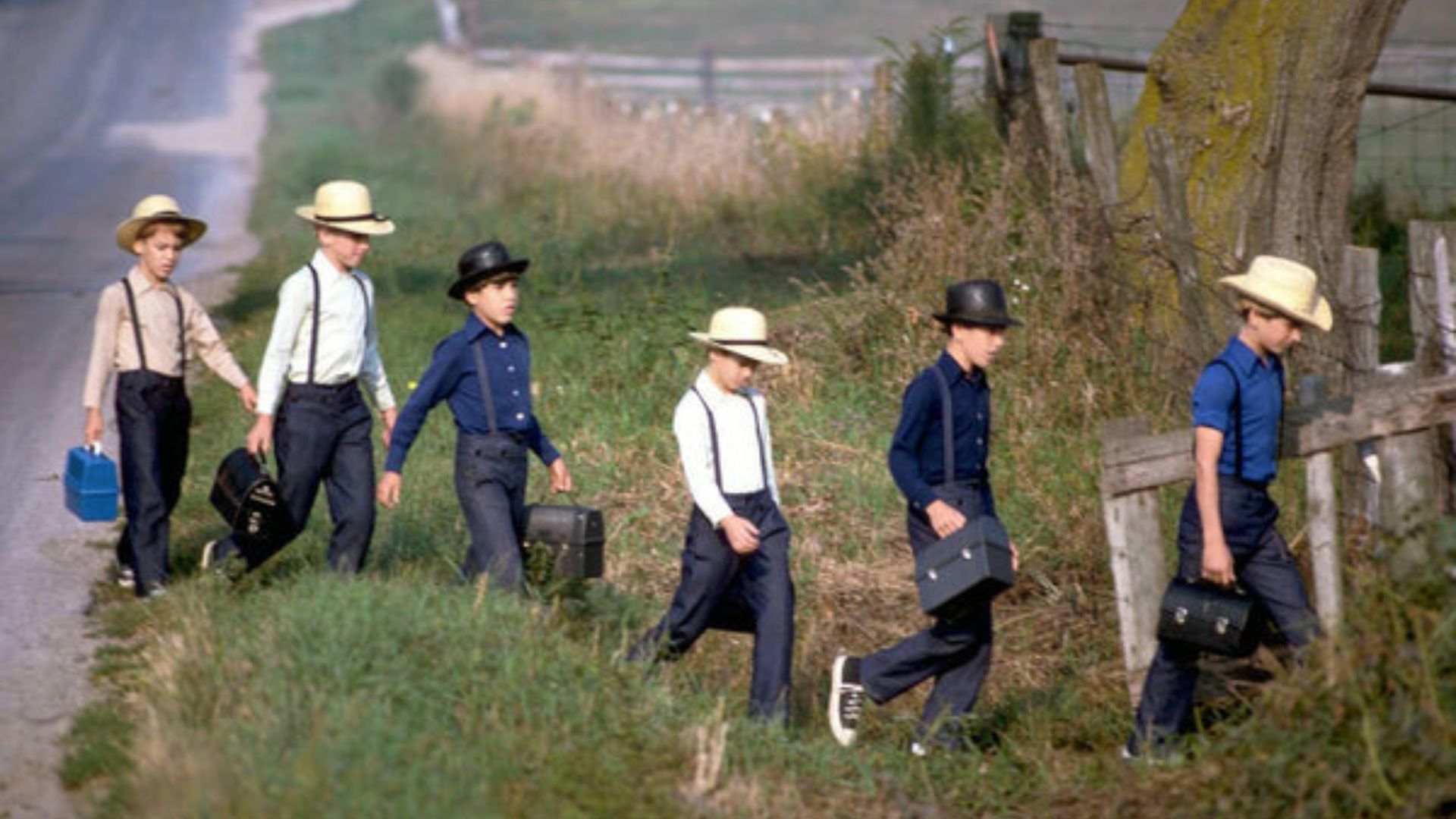 How to Study Amish History