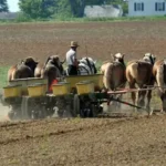 Early Amish Farming Practices