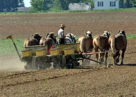 Early Amish Farming Practices