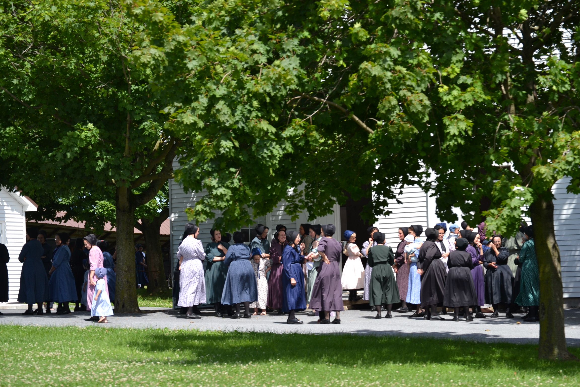 Where to Find the Best Amish Cultural Centers Near You