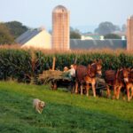 Sustainable Travel in Amish Communities