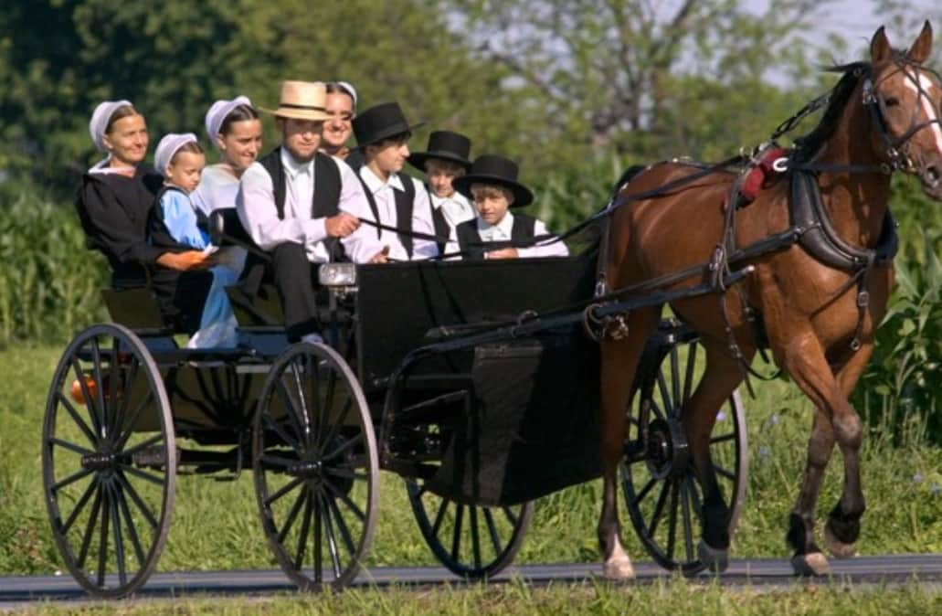 How Amish Traditions Have Survived Centuries