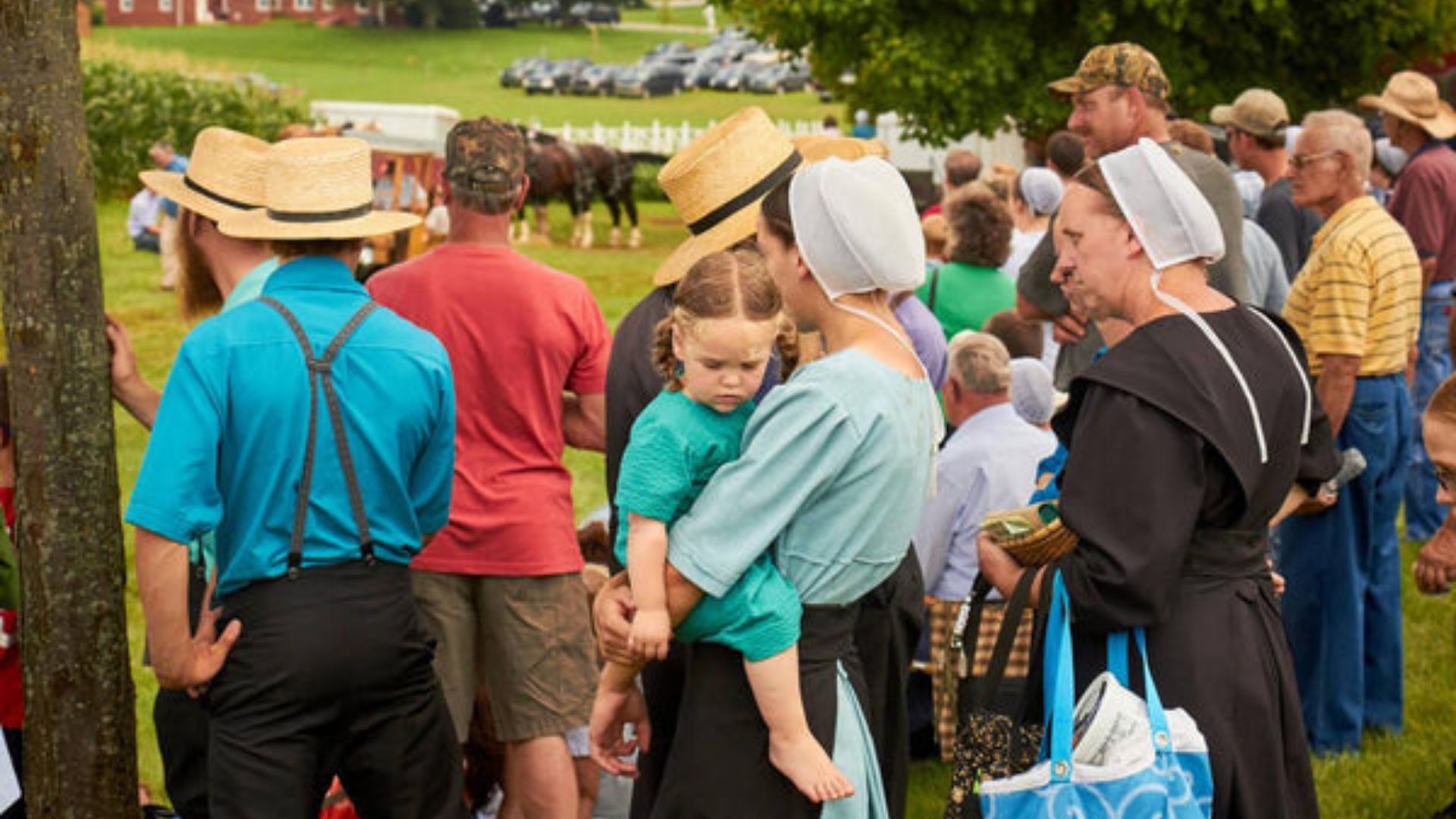 Top Amish Community Tips