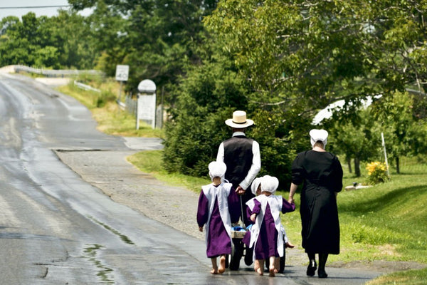 Top Amish Historical Milestones