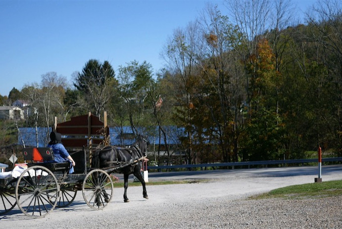 Top Amish Migration Stories