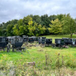 Top Amish Migration Stories