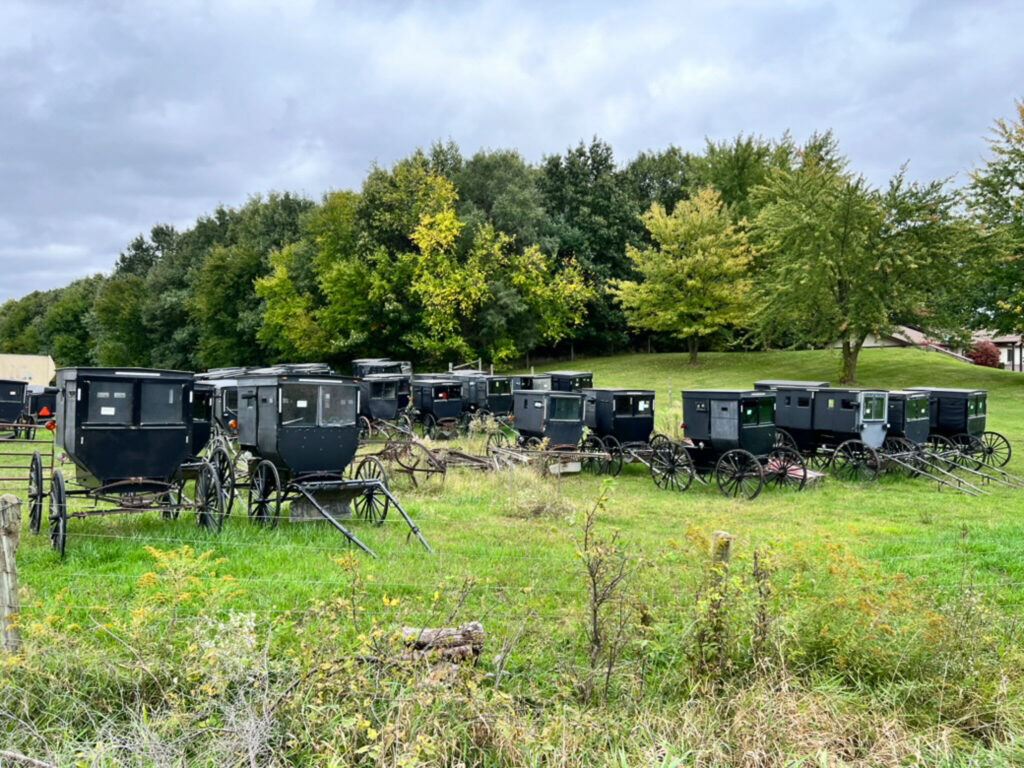 Top Amish Migration Stories