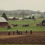 Top Amish Settlements in History