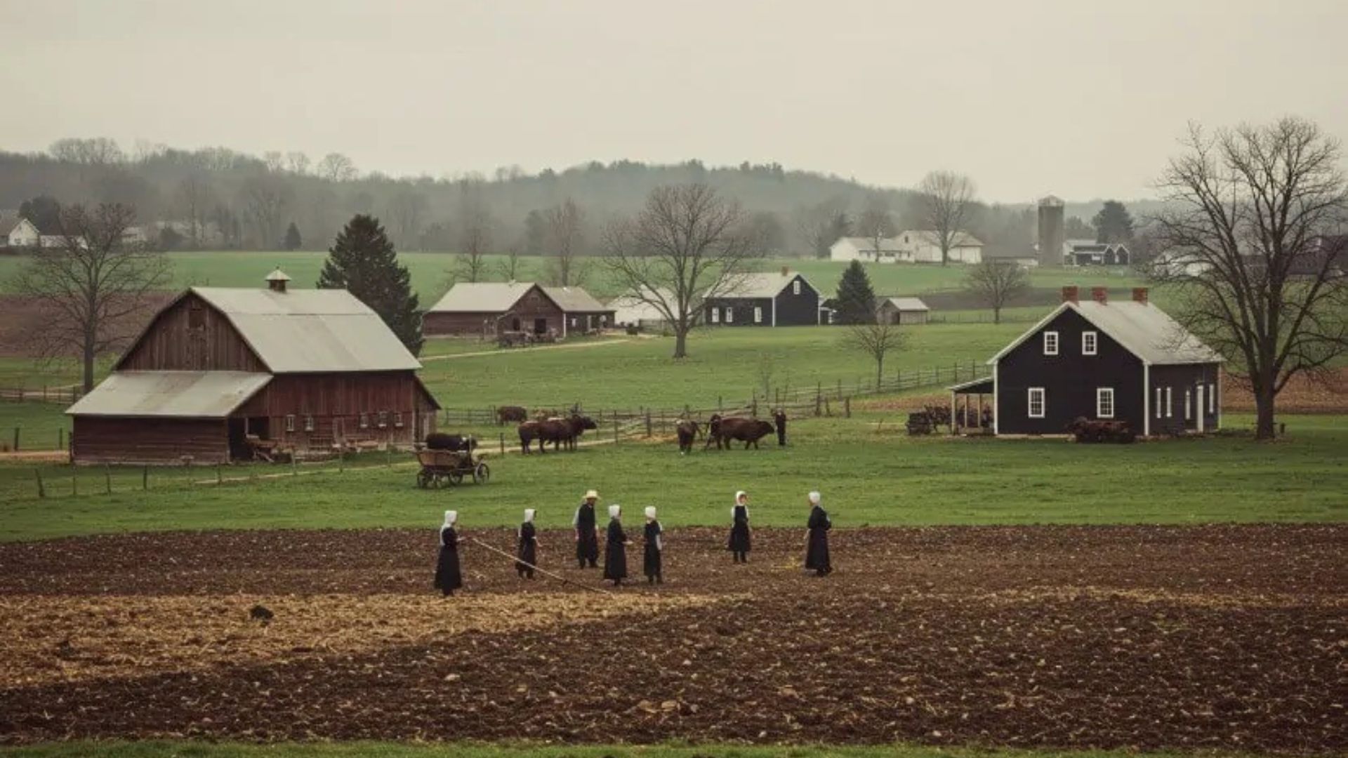 Top Amish Settlements in History