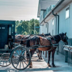 Top Amish Tours in the USA
