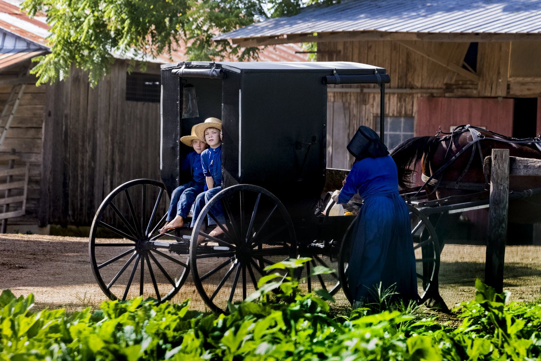 Understanding the Migration of Amish Communities
