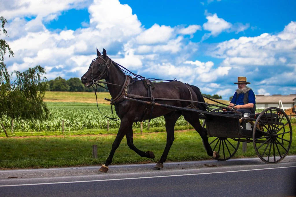 How Amish Traditions Have Survived Centuries