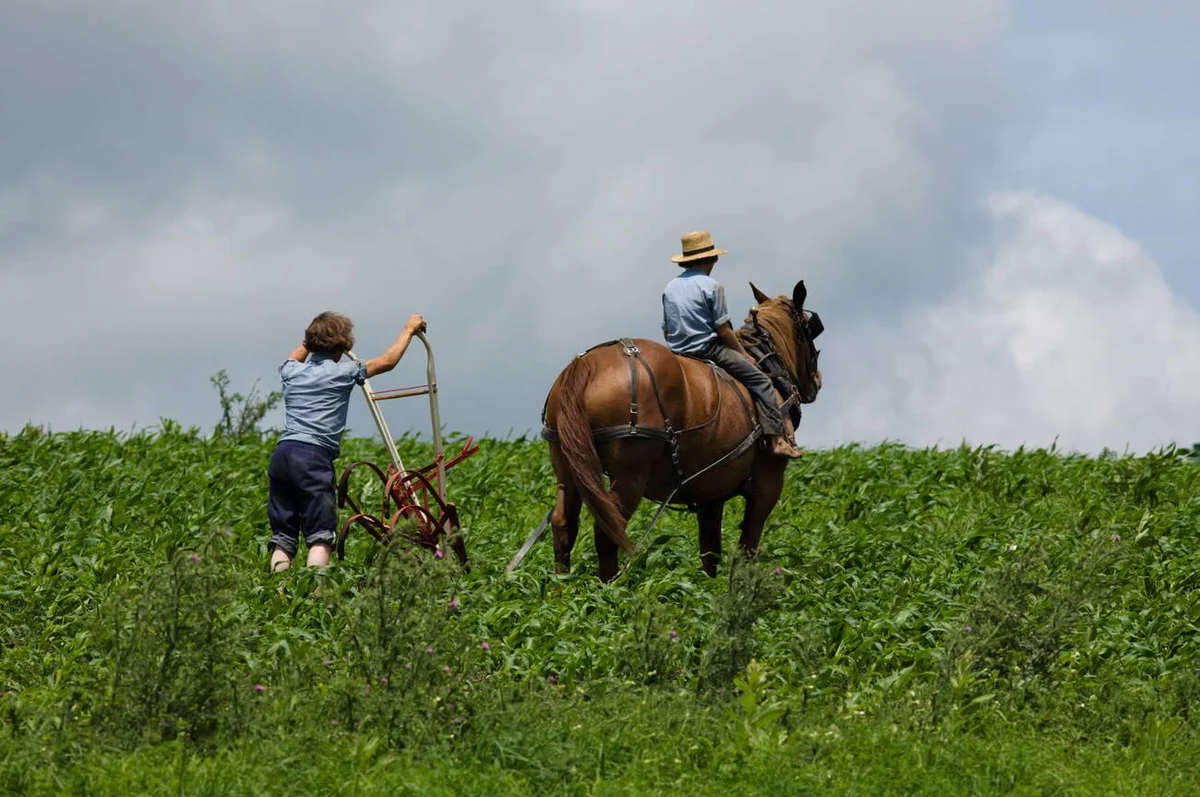 Why Amish Faith Focuses on Humility and Hard Work