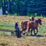 Why Amish Faith Focuses on Humility and Hard Work