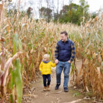 Top-Rated Amish Farm Tours for Families and Groups
