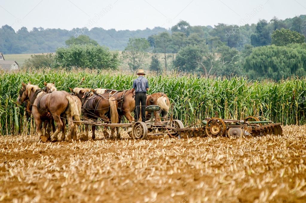 Early Amish Farming Practices