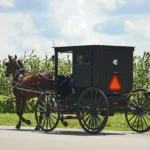 Museum Tours That Celebrate Amish Simplicity and Faith