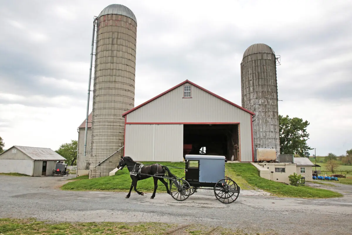 Museum Tours That Celebrate Amish Simplicity and Faith