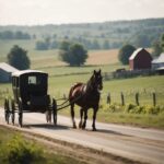 The Great Amish Migration Explained