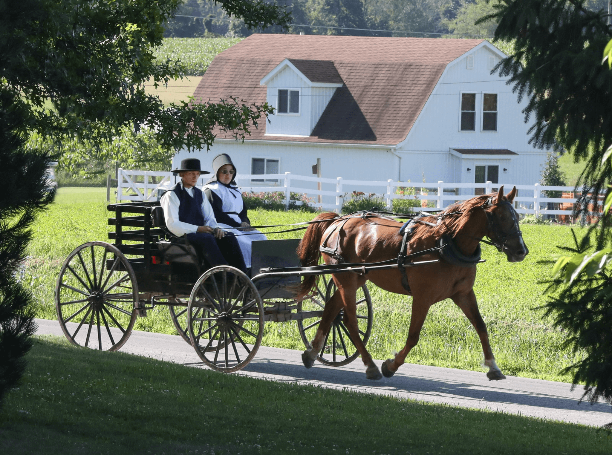 Religious Freedom and the Amish Way of Worship