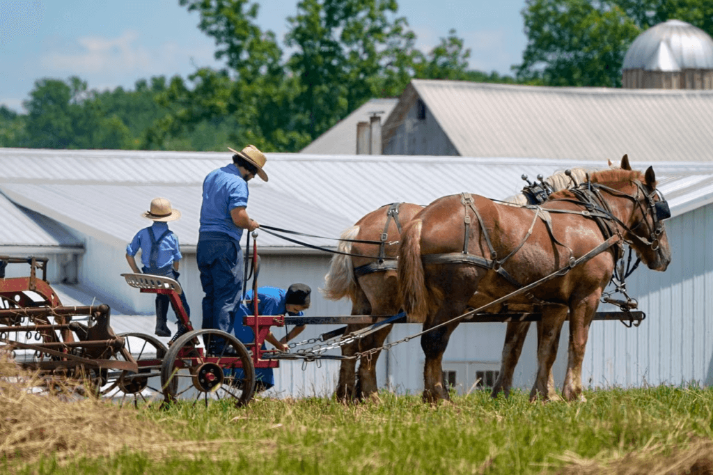 How Religion Guides Amish Education and Work