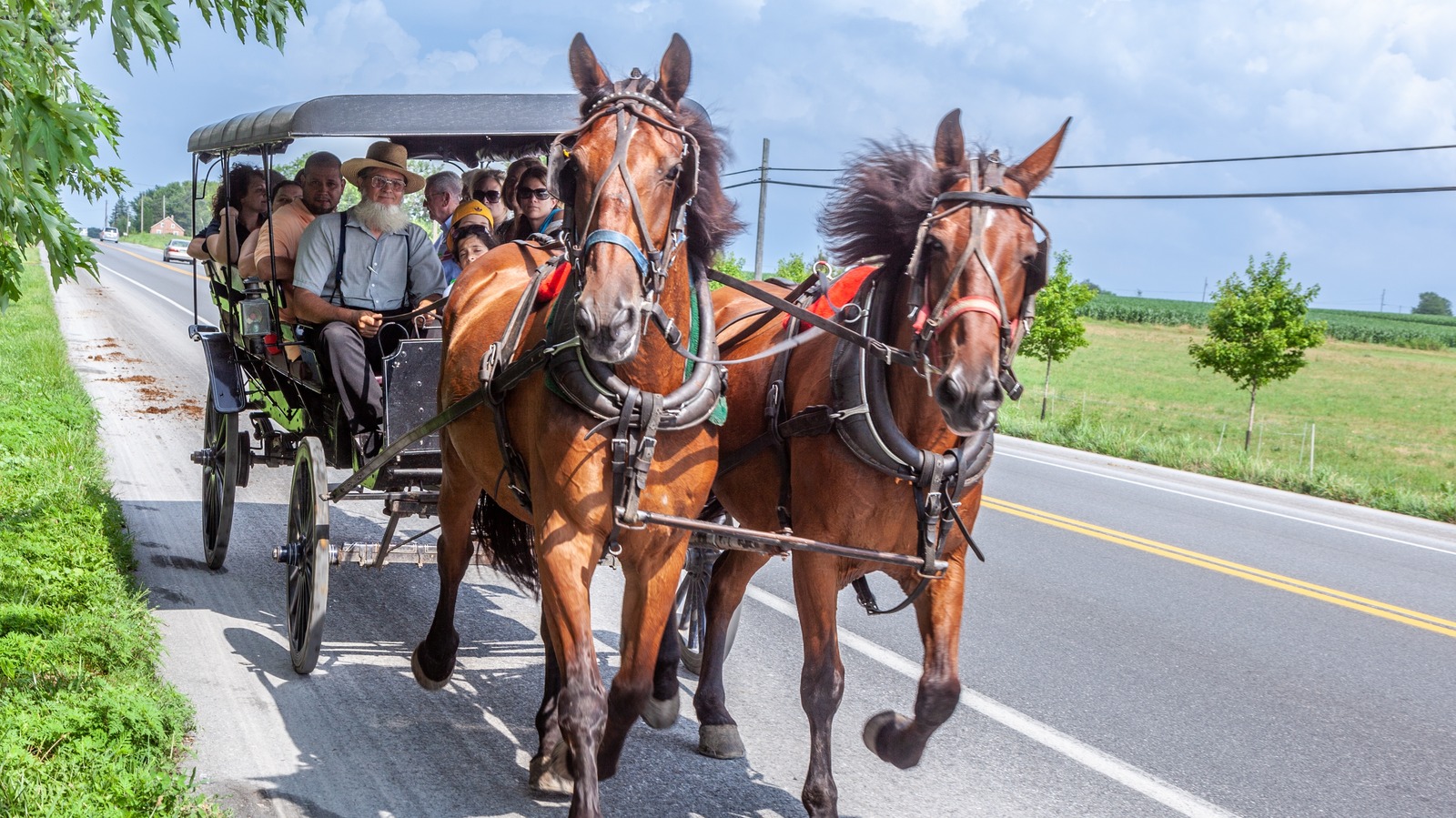 Top Amish Museums to Visit in the United States