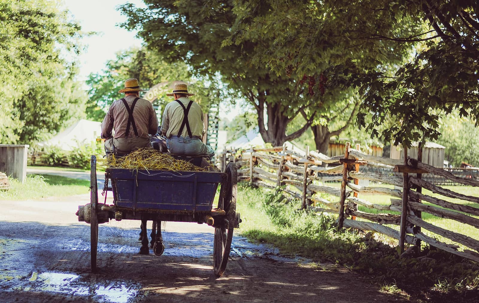 Understanding Amish Views on Life and Death